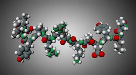 All You Need to Know About Copper Peptides