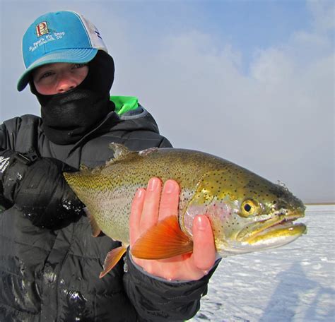 Ice Fishing Antero Reservoir