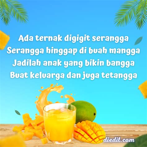 10 Pantun Buah Mangga Lucu Penuh Nasihat | diedit.com