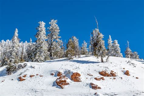 A Snowy Utah Landscape stock image. Image of nature - 142311703