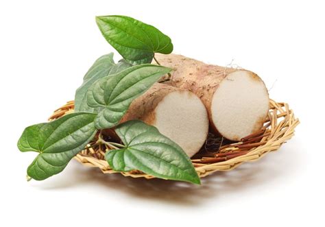 Yam Care - How To Grow And Harvest Yam