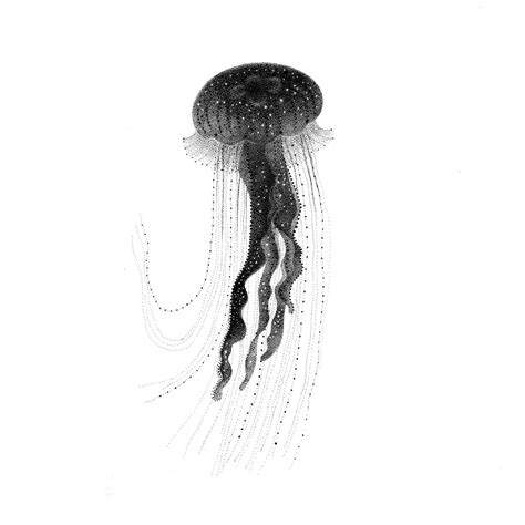Jellyfish - Original drawing – Pet & Dot