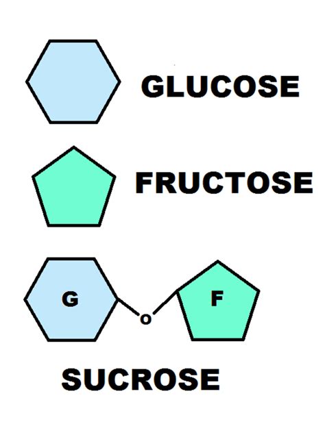 Structure Of Glucose Fructose And Sucrose