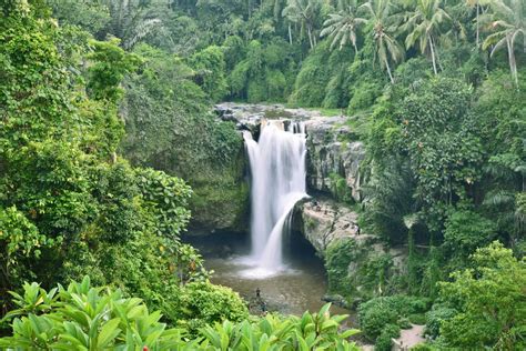 Recommended Taxi Service from Ubud to Tegenungan Waterfall