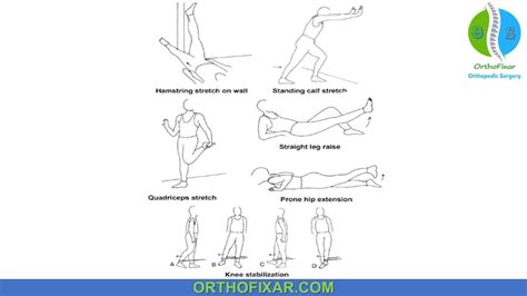 Osgood Schlatter Disease Exercises