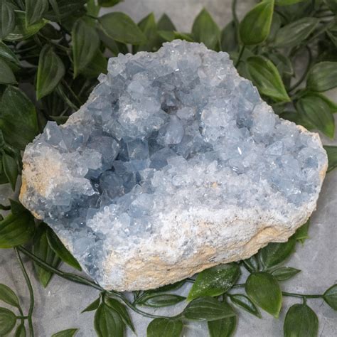 Celestite #5 - The Crystal Council