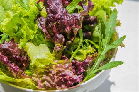 Salad Leaves, Purple Lettuce, Spinach, Arugula. Mixed Fresh Salad in a White Bowl Stock Image ...