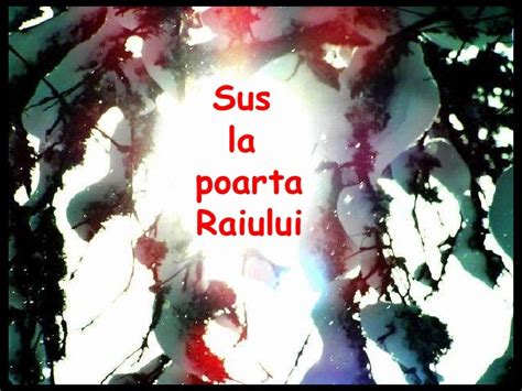 Sus La Poarta Raiului