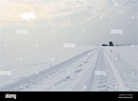 A winter landscape with a path and tracks, winter in Germany Stock ...