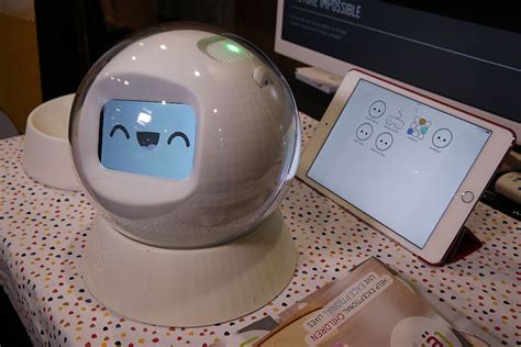 Robota & Leka: Teachers' Robot Assistants Of Children With Autism ...