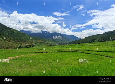 Punakha Valley, Bhutan Stock Photo - Alamy