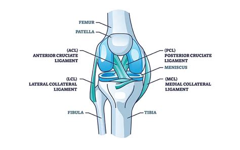 ACL And PCL Surgery in Mumbai | Dr. Divyesh Bukalsaria