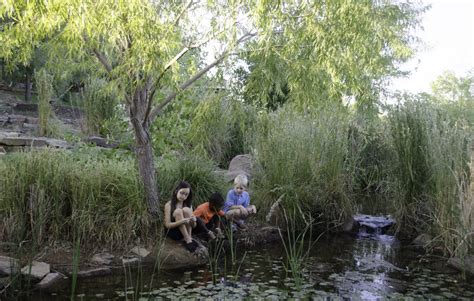 Attractions - River Bend Nature Center