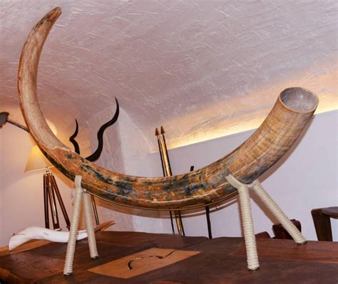 Mammoth Tusk from Siberia at 1stDibs