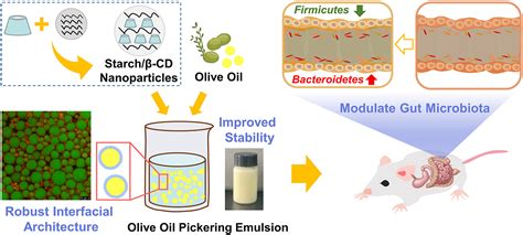 Food-grade olive oil Pickering emulsions stabilized by starch/β-cyclodextrin complex ...