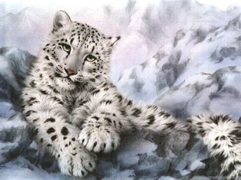 Snow Leopard Anime Drawings Wallpaper. Desktop Background