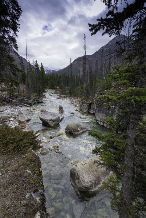 Marble Canyon, Kootenay National Park Stock Photo - Image of formations, rock: 46249976