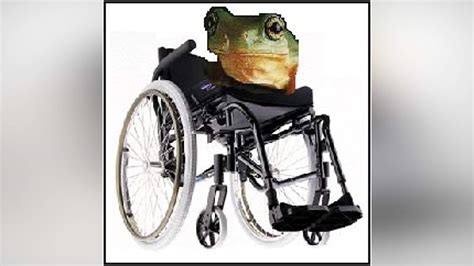 Spoof news: Wheelchair-Bound Frogs Sue Leg-Eating French