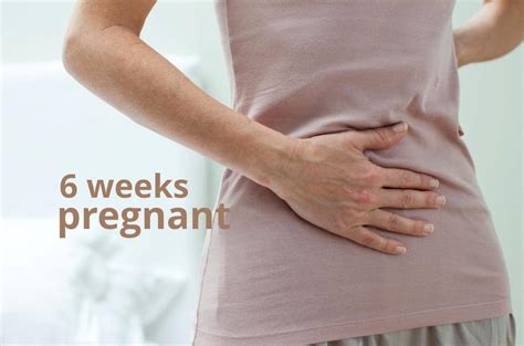 6 Weeks Pregnant - Your Baby & You at 6 Weeks - What to Expect