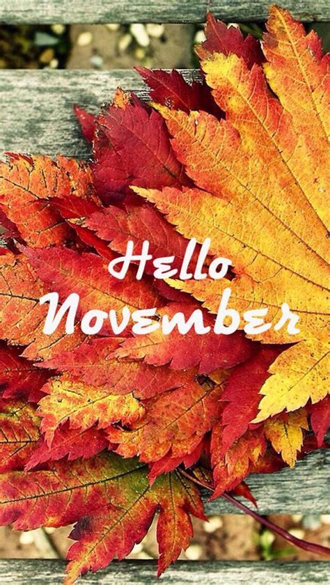 Hello November Fall Leaves Pictures, Photos, and Images for Facebook ...