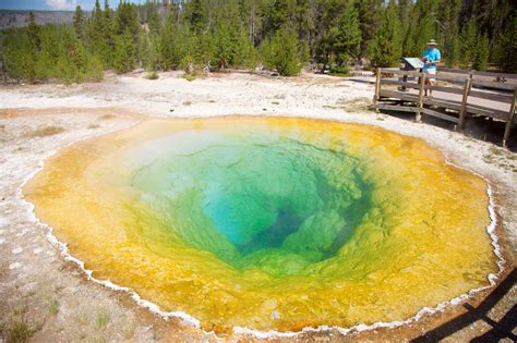 File:Morning Glory Pool Yellowstone National Park.jpg - Wikimedia Commons