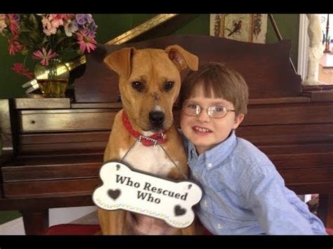 A Rescue Dog Changed This Autistic Boy’s Life Forever. – Kindness Blog