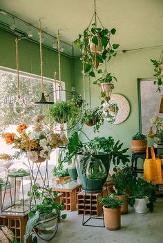 Идеи на тему «Plantastic shop» (11) в 2023 г | интерьер цветочного магазина, зеленые комнаты ...