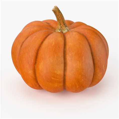 3d Model Realistic Pumpkin Real