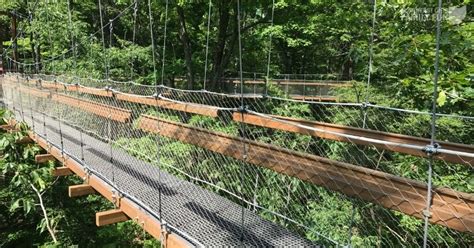 Your Adventure Awaits at the Holden Arboretum Canopy Walk & Tower