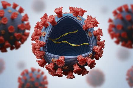 Primary Clarification Of Lentiviral Vector With Low-Shear Separation