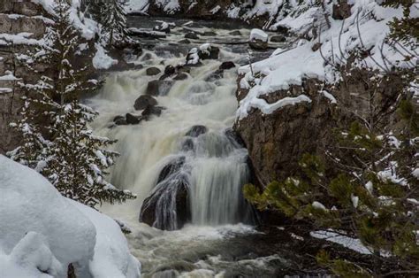 Planning a Yellowstone Winter Vacation - PhotoJeepers