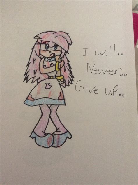 I will never give up. by Sonarahlover32 on DeviantArt