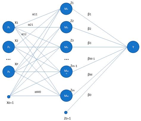 Artificial Neural Networks Examples