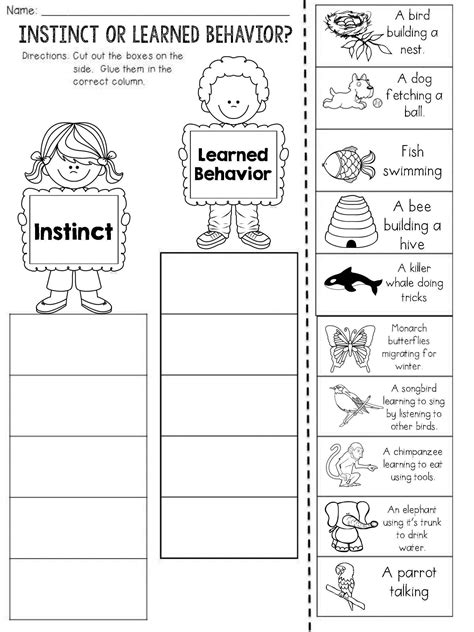 Inherited Traits Worksheet Pdf