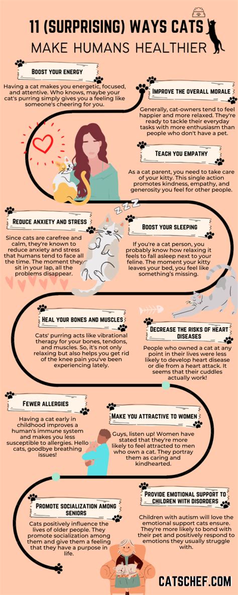 11 Actual Health Benefits Of Having A Cat (The Purr Is A Cure)