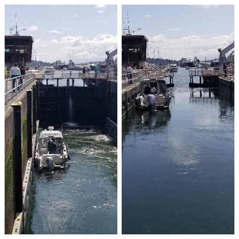 #RevisitSeattle The Ballard Locks – Spiffy Home