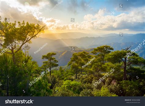 9,986 Cyprus troodos mountains Images, Stock Photos & Vectors | Shutterstock