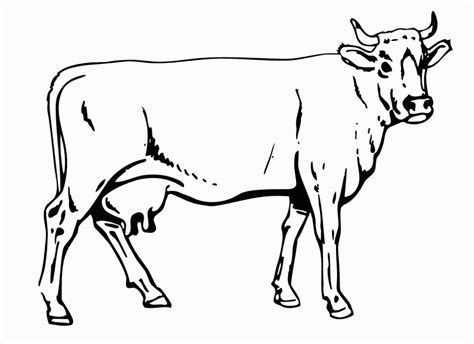 Free Outline Of Cow, Download Free Outline Of Cow png images, Free ClipArts on Clipart Library