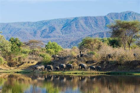 Tour Livingstone, Lower Zambezi and Lake Malawi | South Luangwa Safaris