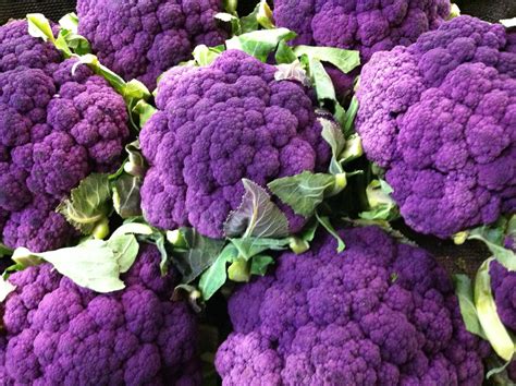 Purple cauliflower gorgeousness. | Purple cauliflower, Cauliflower ...