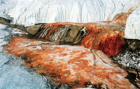 Blood Falls: Explore the Mesmerizing Phenomenon of the Unexplained Blood-Red Waterfall (Video)