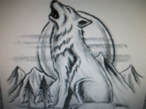 Baby Wolf Howling Drawing | Top Pictures Gallery Online | Wolf howling ...