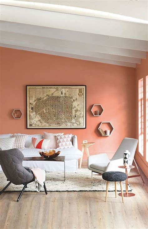 Light Coral Walls : Color For Light Petite Pink Peach Punch Dining Room Colours Rooms By Coral ...