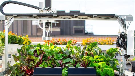 Using technology to optimize urban farming | CGI.com