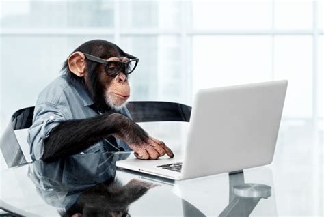 The Transactional Sales Monkey Model – Part 1 – ContingencySales