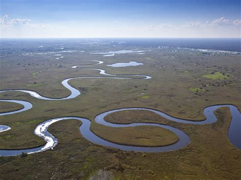 Namibian oil and risk to the Okavango Delta: Fears over threat to one of world's most pristine ...