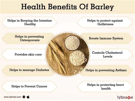 Benefits of Barley And Its Side Effects | Lybrate