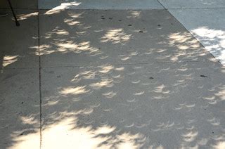 Crescent shadows | The crescent-shaped shadows show the cres… | Flickr
