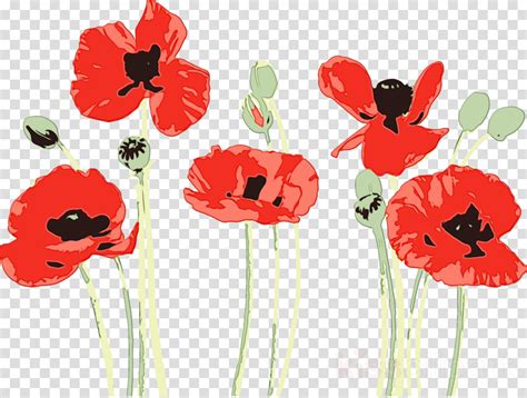 Poppy clipart coquelicot, Poppy coquelicot Transparent FREE for ...