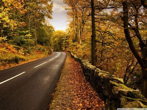 Autumn Road wallpaper | Landscape wallpaper, Autumn landscape, Landscape